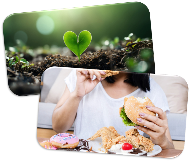 non substance abuse addiction therapy in NJ